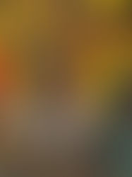 “Axis Mundi” o el cimarronaje telúrico de Rafael Trelles