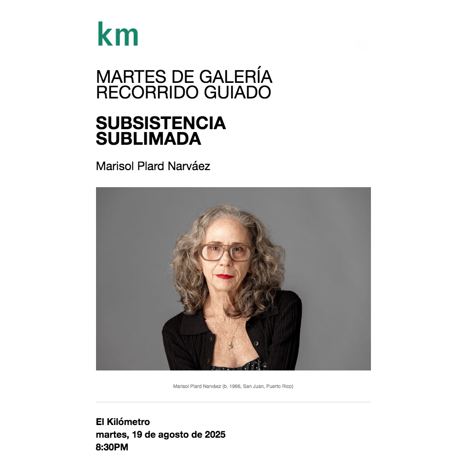 Recorrido guiado: Subsistencia Sublimada de Marisol Plard Narváez 