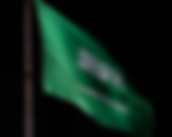 Saudi Arabia is executing foreigners for drug crimes