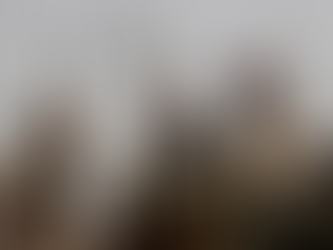 RSF kills 300 people in North Kordofan