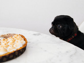 There is no such word as ‘no’. 