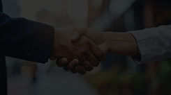 AI Integrity & Alignment