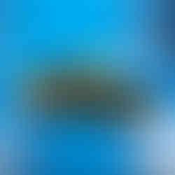 Handmade stainless steel designer bracelets from the Solo collection. Solo Stars