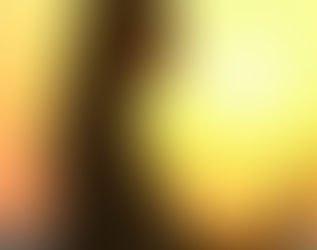 Authentische Weiblichkeit leben: Die Kraft der weiblichen Energie