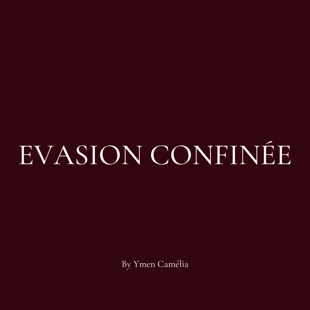 1. EVASION CONFINÉE
