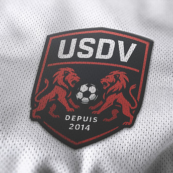 My mockup 102 from Realistic Logo Mockup Pack.jpg