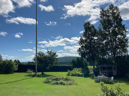 View of lawn infront of house