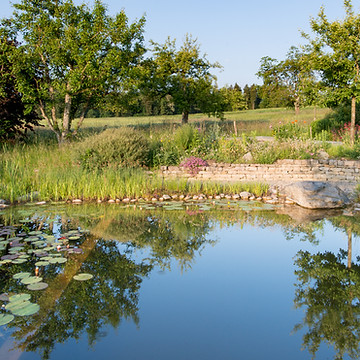 grosser Schwimmteich im Naturgarten