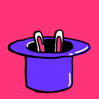 Rabbit in hat.gif