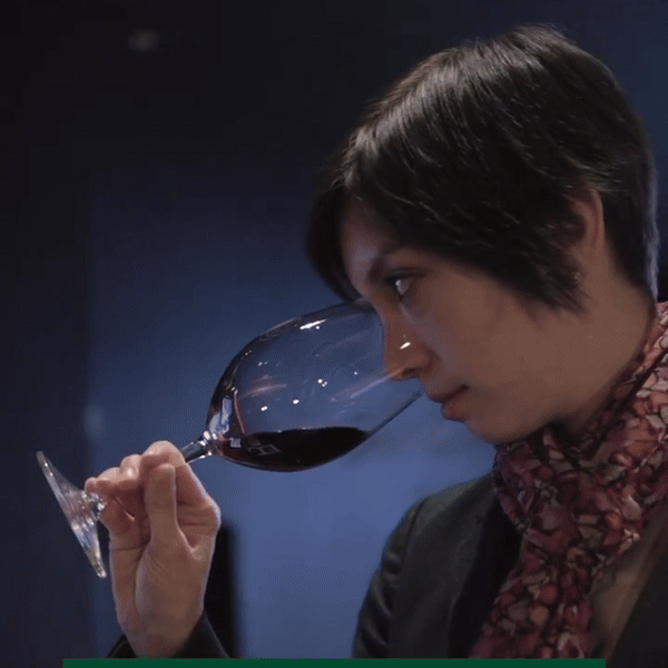 Cote_SquareSommelier.gif