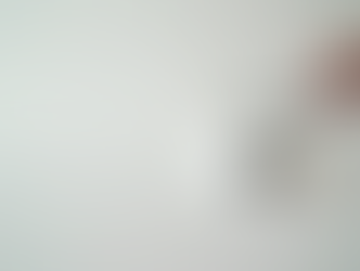 Transform Your Home with Expert Painting Tips