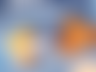 Empowering Women Through Financial Independence Post-Divorce