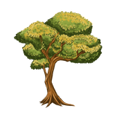 TREE.png