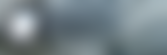 La Sai l’ultima? Ora il perito deve “adeguare” la perizia al preventivo e deve anc