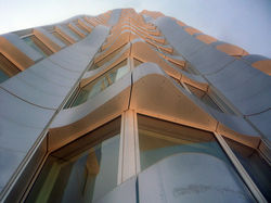 beekmanwindows.jpg