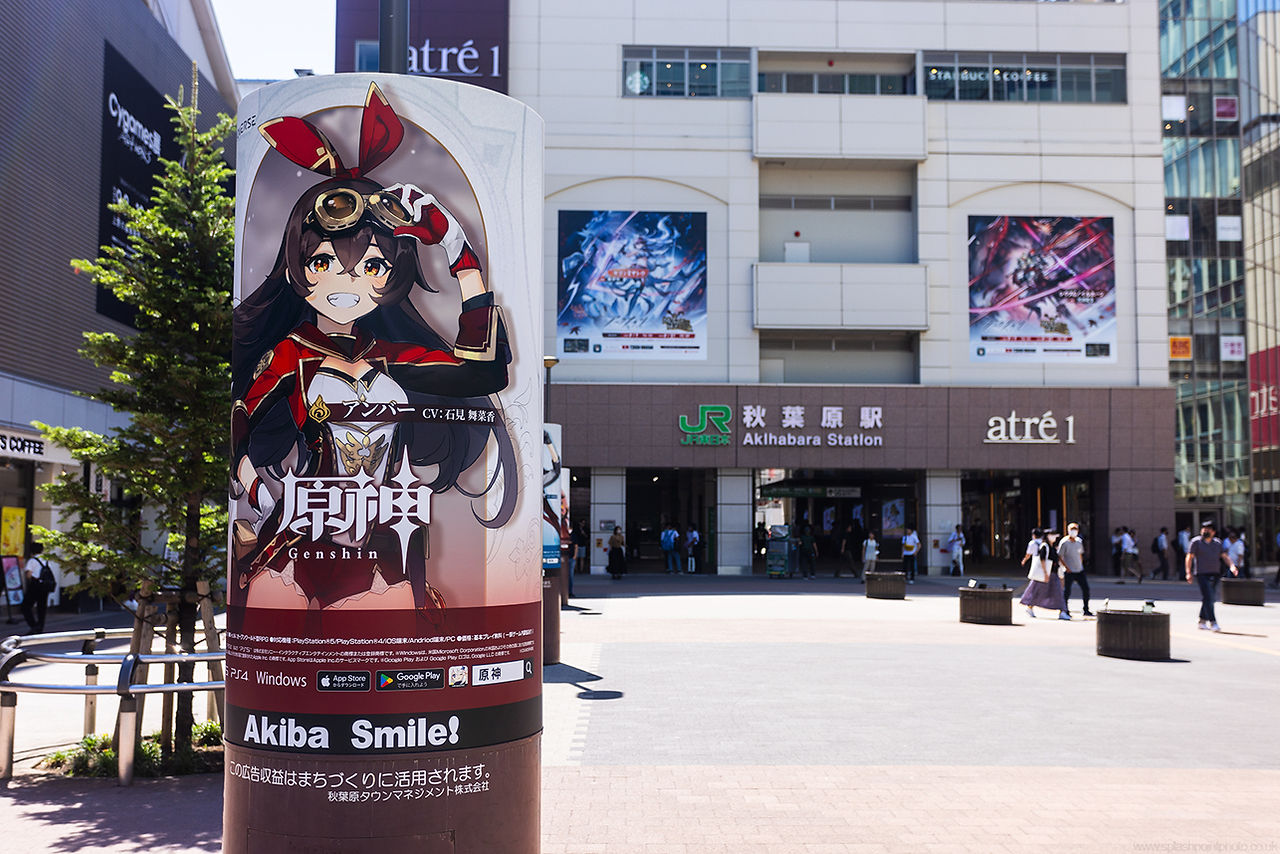Akihabara Station, Tokyo, Japan