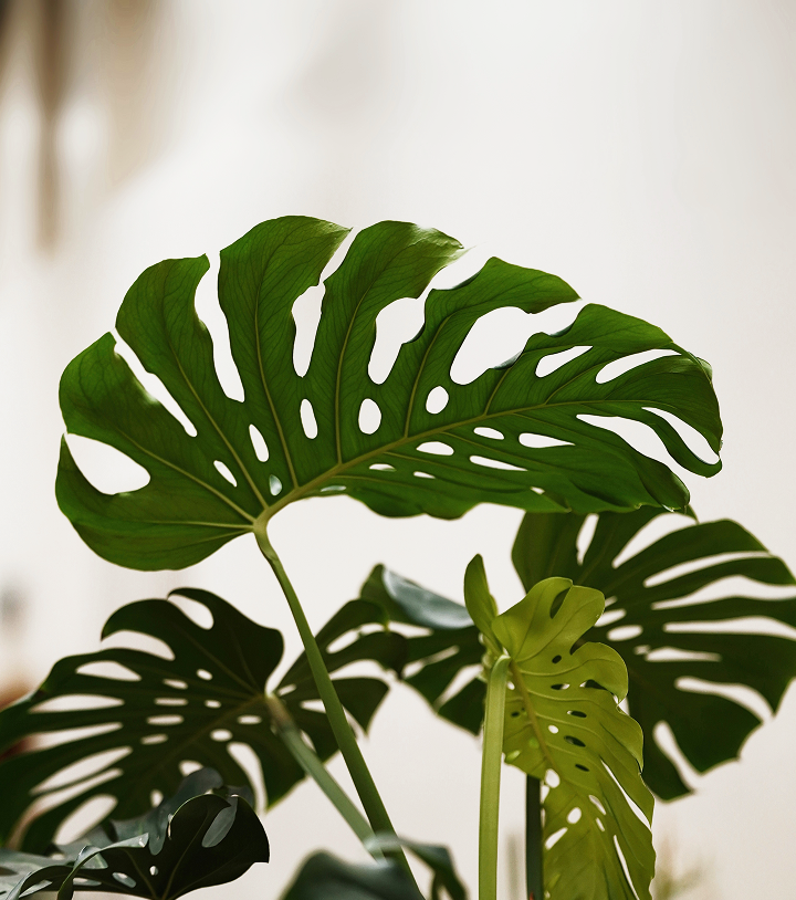 olena-bohovyk-TpALGJoHFP8-unsplash 1.png
