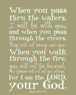 We Are Not Meant To Live This Life Alone