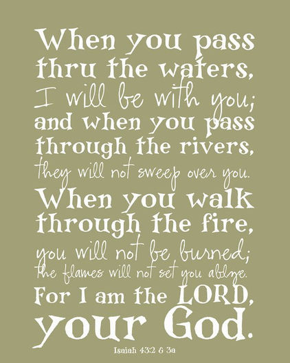 We Are Not Meant To Live This Life Alone