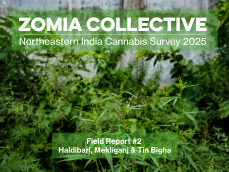 Northeastern India Cannabis Survey 2025 - Field Report #2 Haldibari, Mekliganj & Tin Bigha