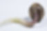 180510_SeedStack3C-559156290.jpg