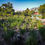 Thumbnail: Ta Lo Family Farm