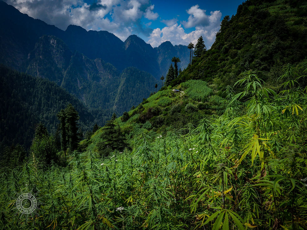 Thumbnail: Grahan Valley