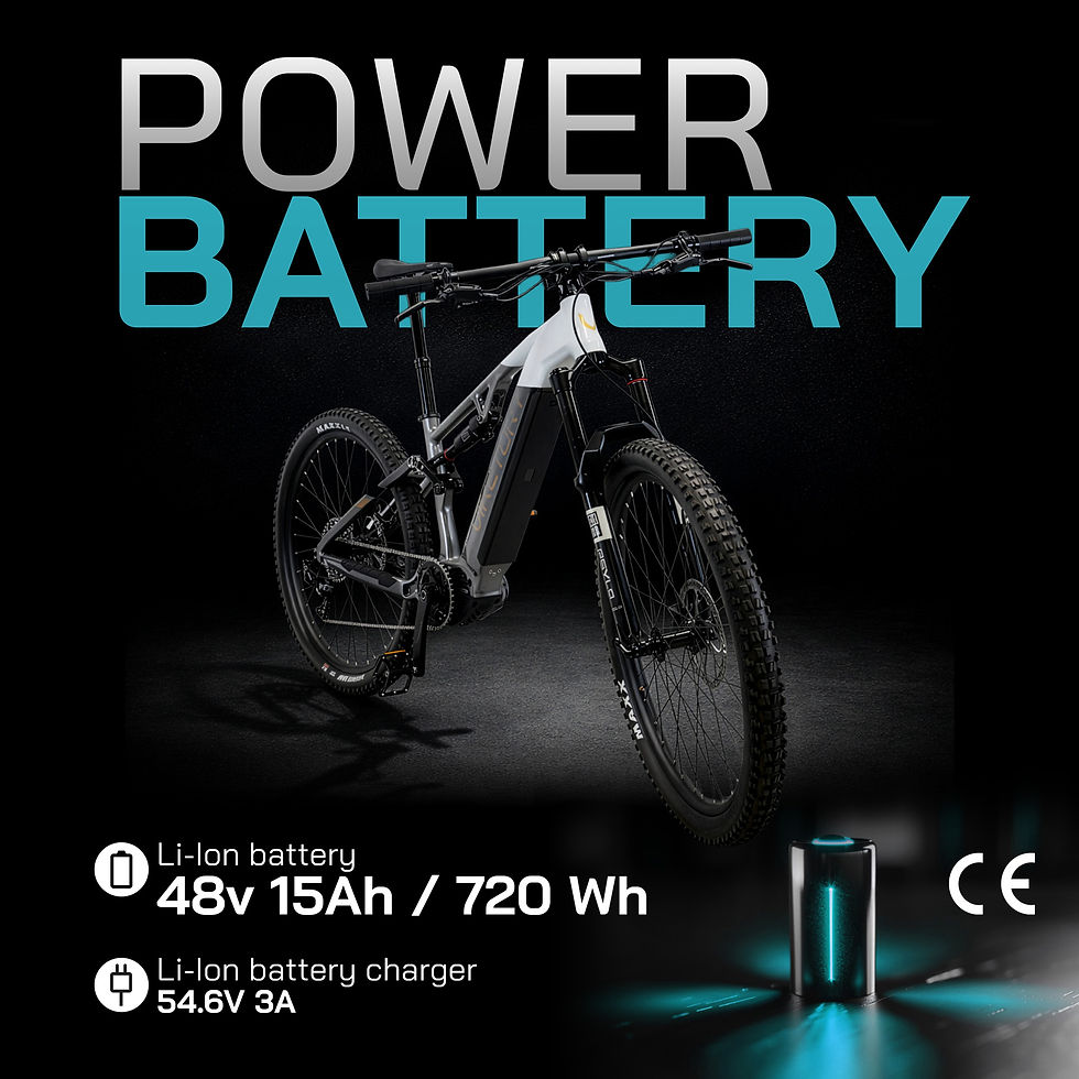 Miniatura: Viketory Roktar +Plus E-bike MTB