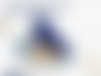 Sri Lanka’s Mishandling of Debt and Crisis