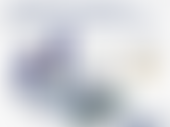 OJK Board Inauguration: Masterplan and Expectations