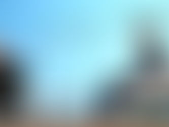 TGIF Monthly Wrap: November 2025