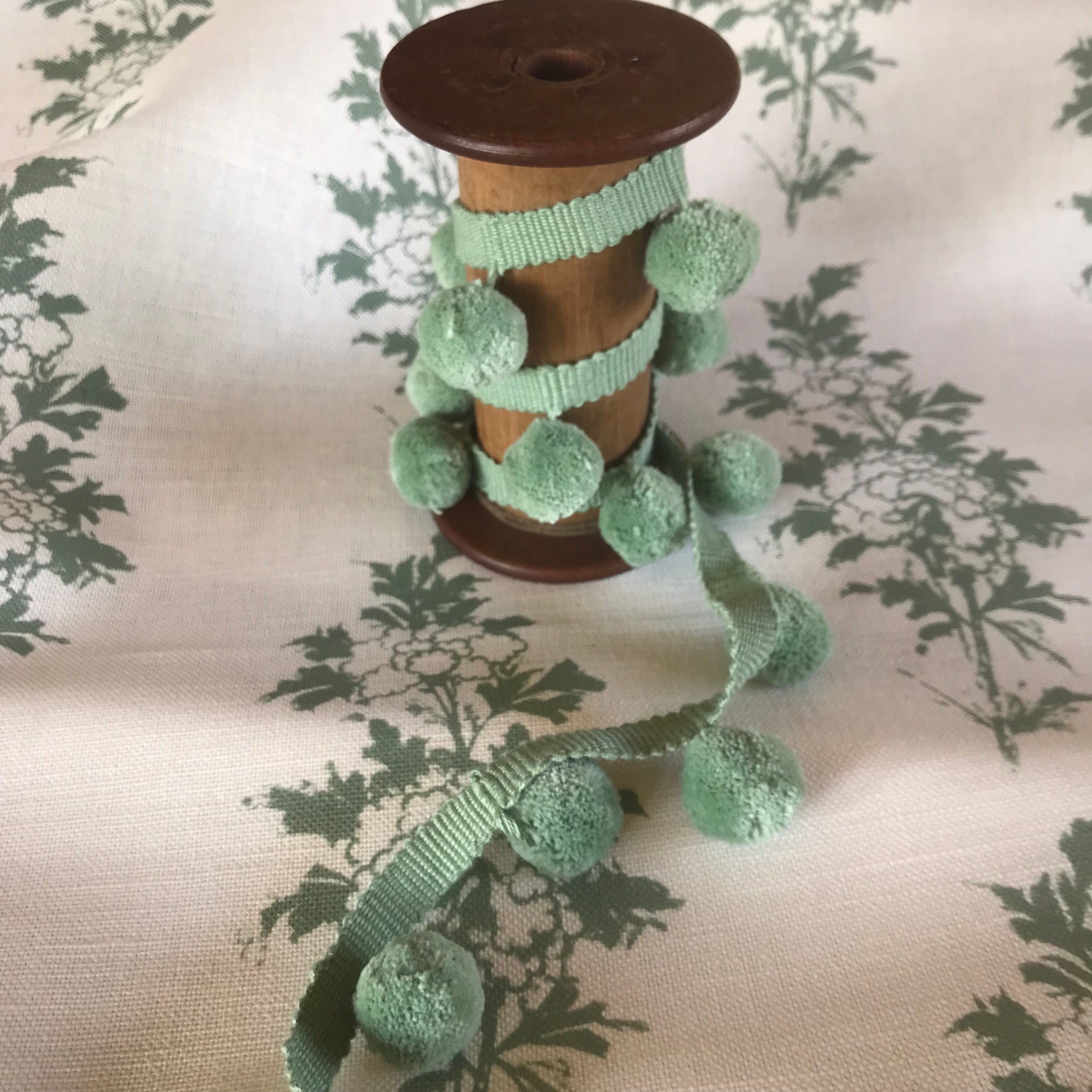 Pom-Pom in Green Tea