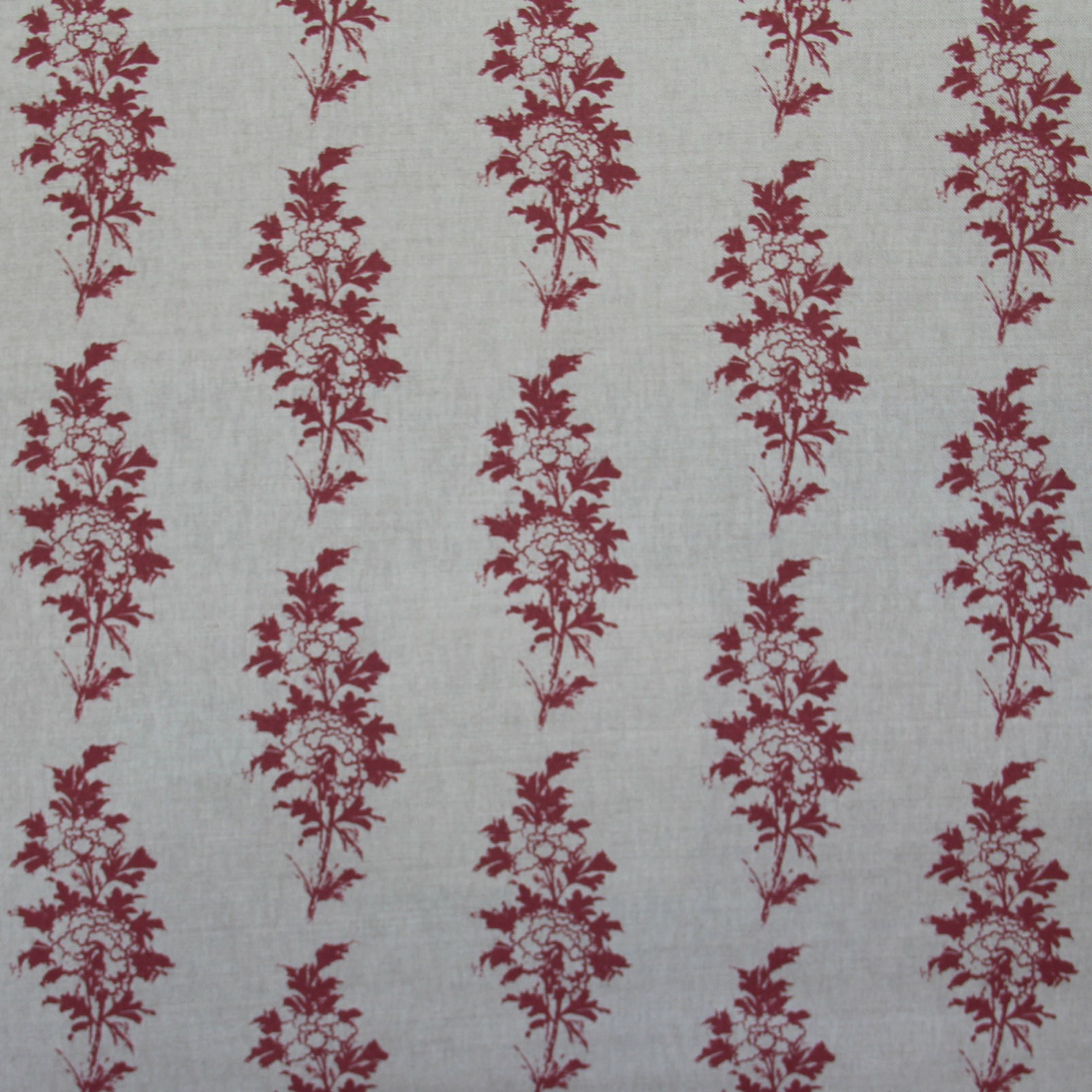 Mei  in Dragon's Blood on Natural