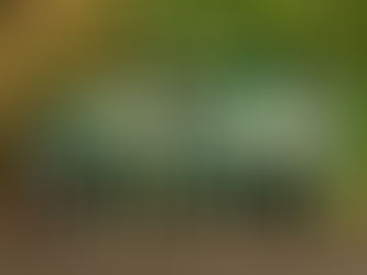 Willkommen auf der neuen Webseite von Bauert AG Parkpflege Gartenbau