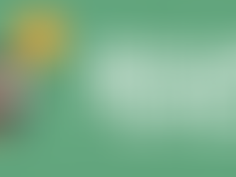 Top 10 financial tips for the youth out there!