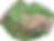 orthomosaic_preview.png