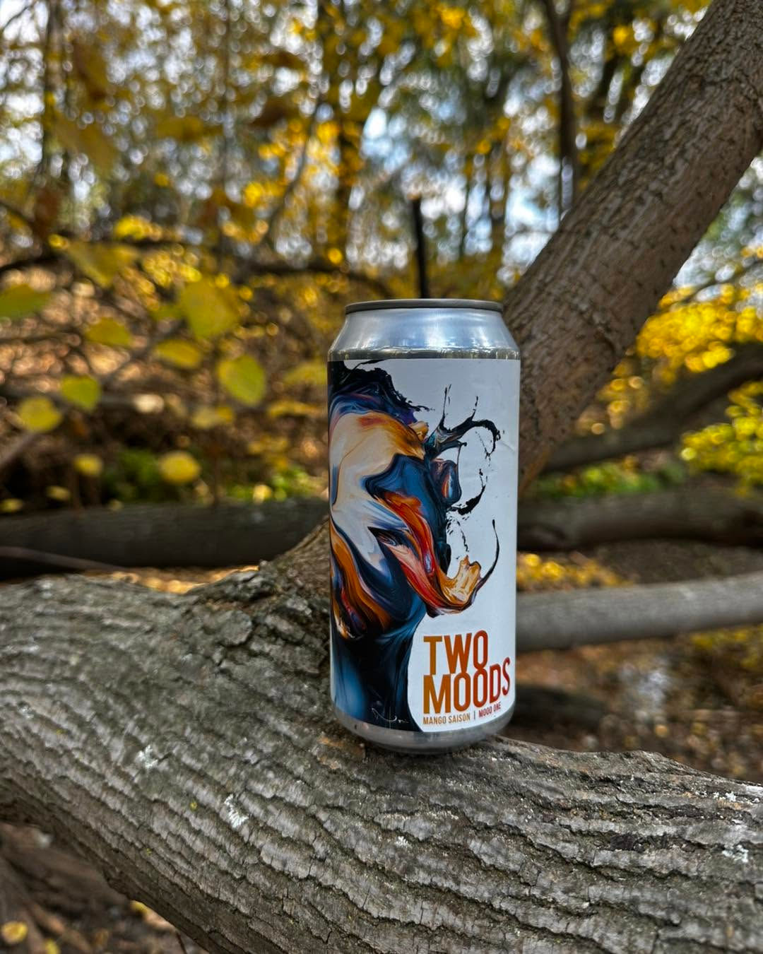 Two Moods Mango Saison 440ml