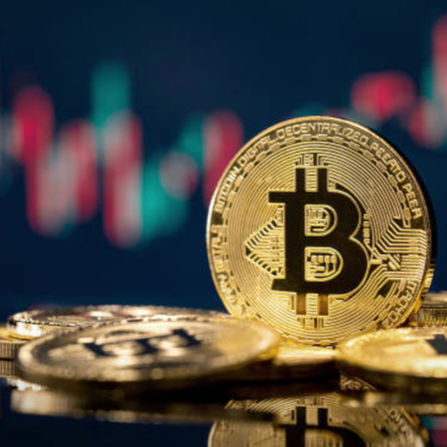The Crypto Cycle: Where We Are Today