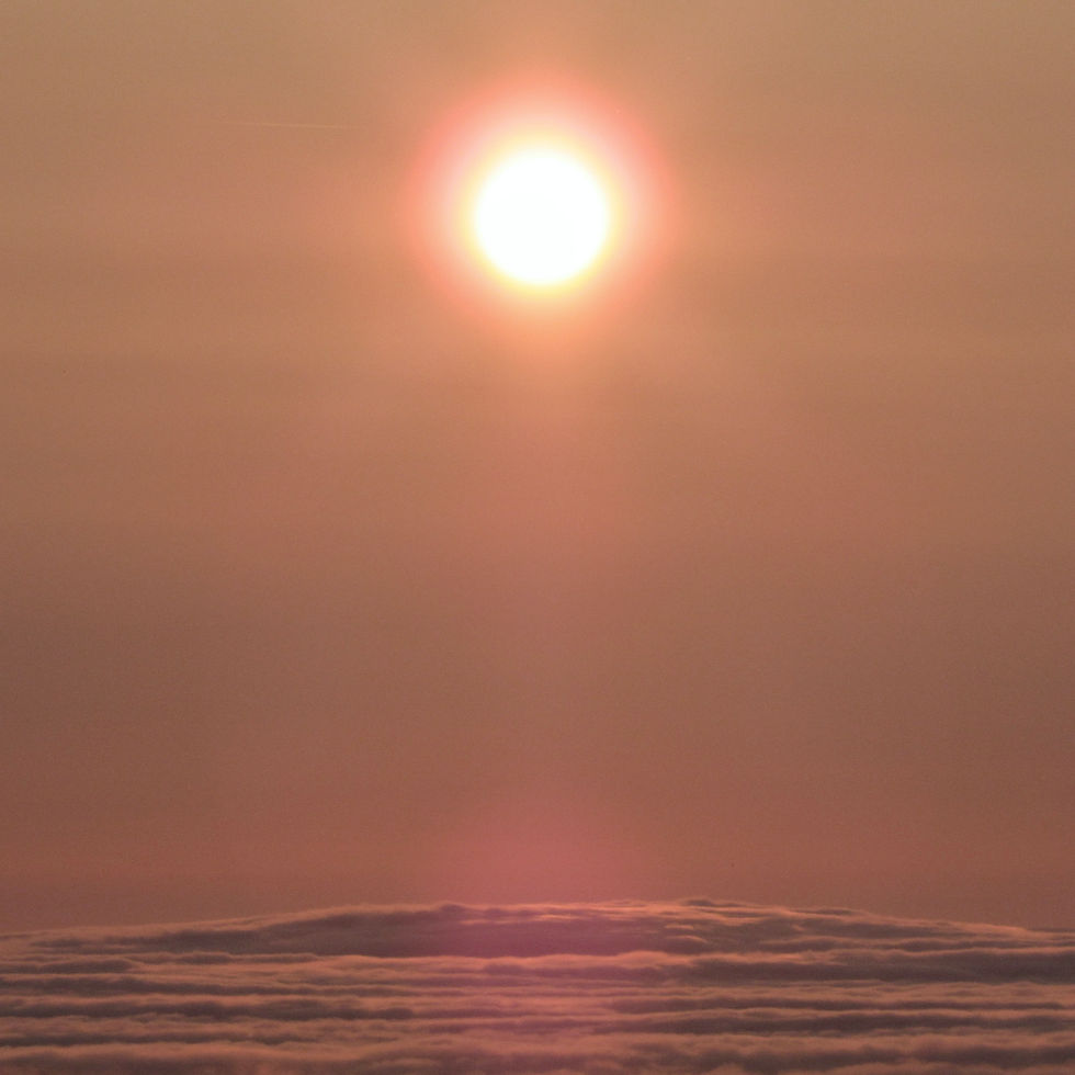 No 19 White Silence.JPG