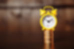 Hourly Rate Model for elearning development
