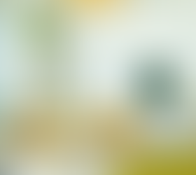 Should you Consider Opening an Enrichment Centre?