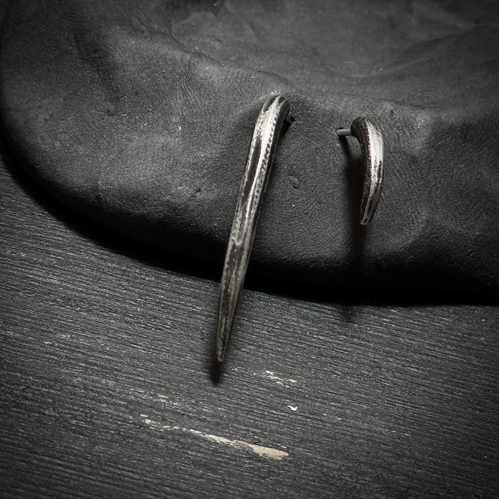 Thumbnail: Handmade silver claws earrings