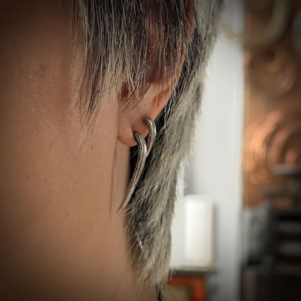 Handmade silver claws earrings