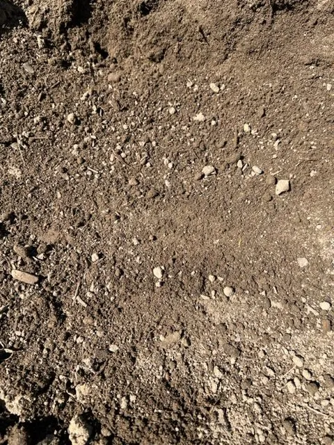 Screened Loam.webp