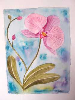 Aq-fleurs-134.jpg