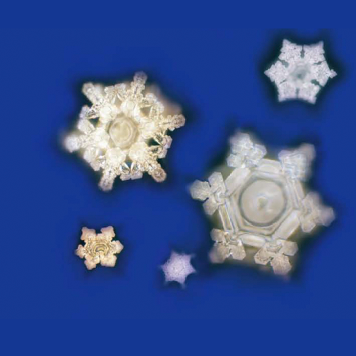 Você percebe que todos são hexagonais (6 lados) , mas são completamente diferentes e únicos?