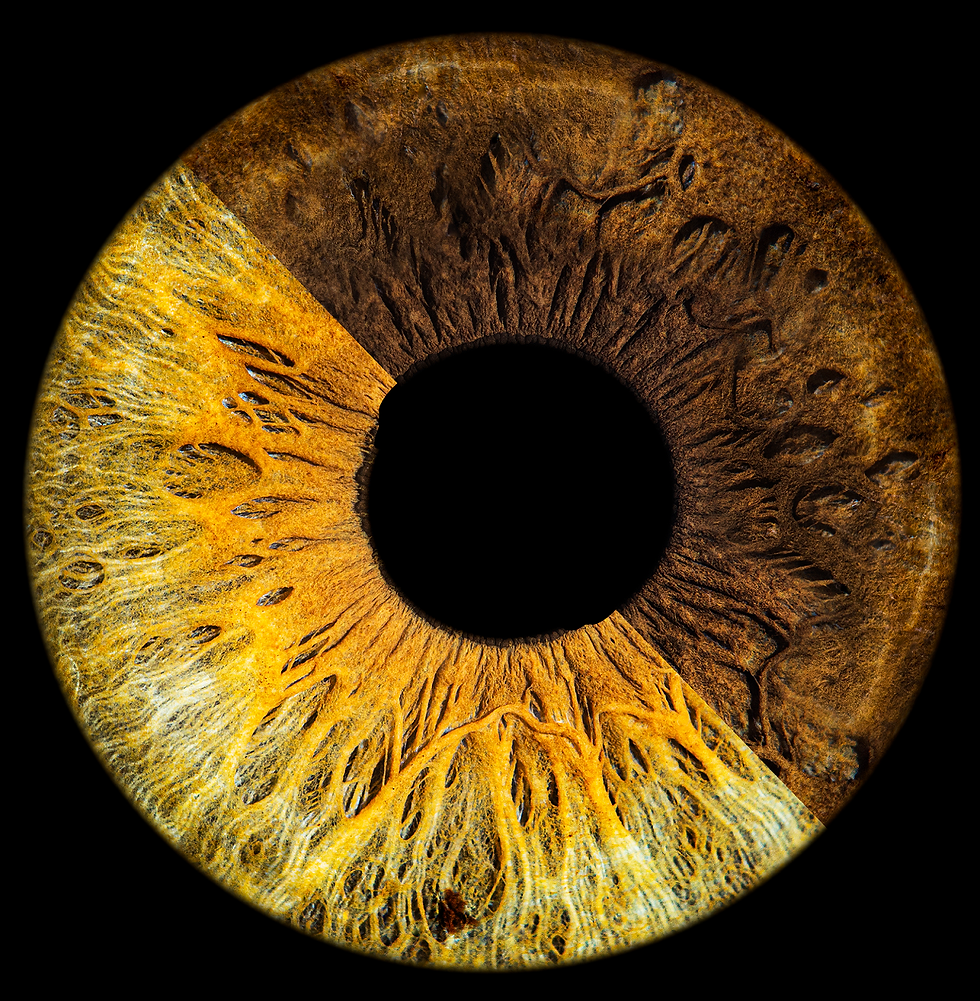 Katman 0 Karesi - Kopya (2).png