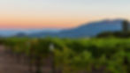 Obsidian Wine Company Dinner