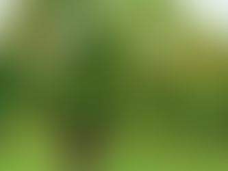 FIESTA DE SAN LORENZO, DIÁCONO Y MÁRTIR, 10 DE AGOSTO DE 2022