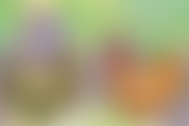 FRIDAY OF THE TWENTY-SECOND WEEK IN ORDINARY TIME, SEPTEMBER 6, 2024